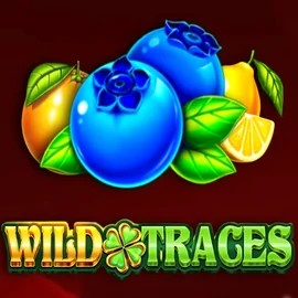 Wild Traces online game logo by Amusnet Interactive on ninlaycanada.com